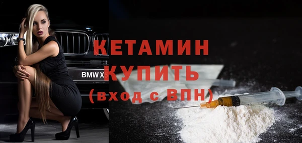 шишки Туринск