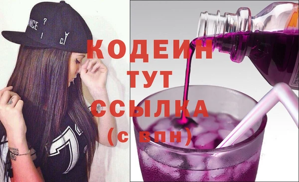 прущие грибы Михайлов
