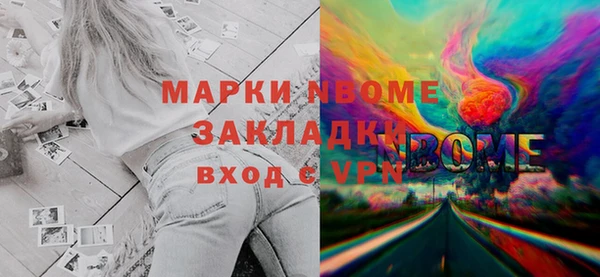 шишки Туринск