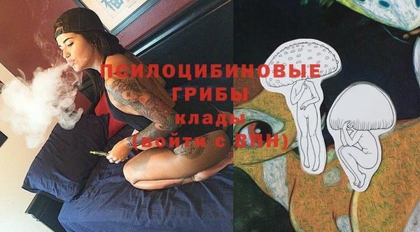 прущие грибы Михайлов